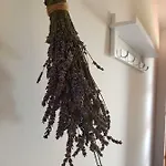 Boba