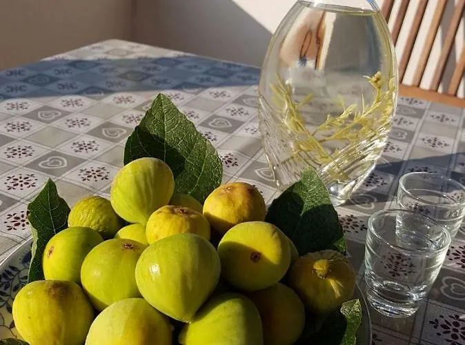 Boba Apartment Murter